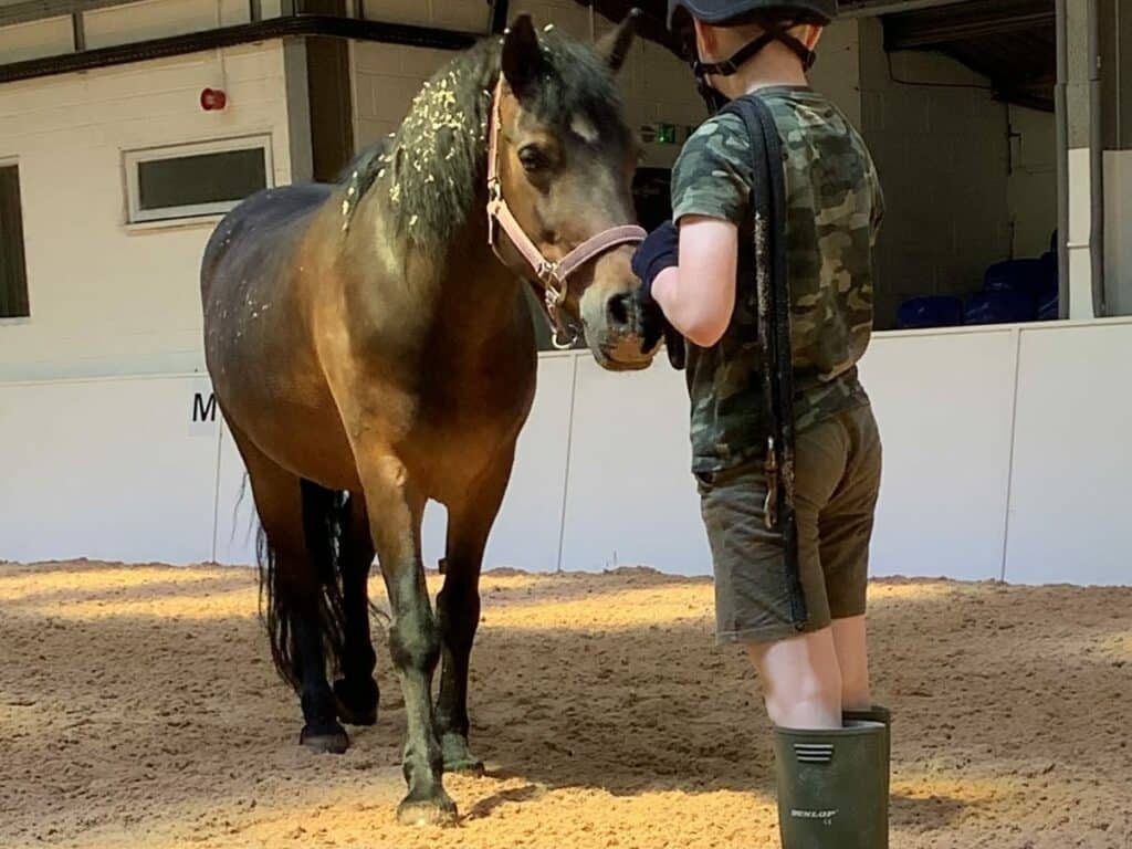 Child with horse