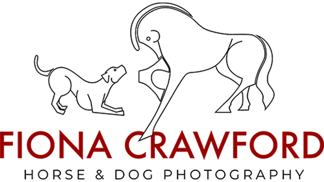 Fiona Crawford Logo