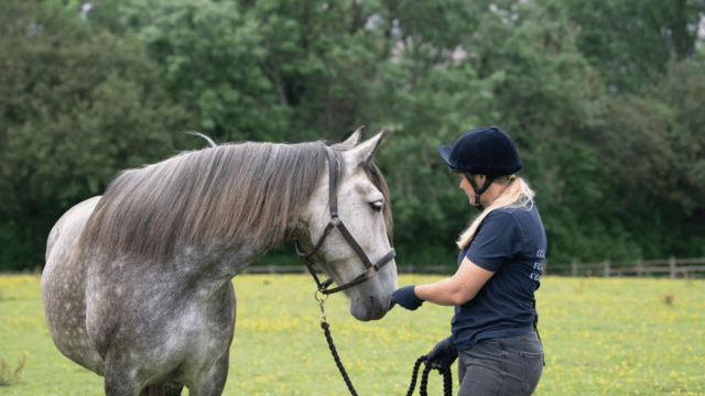 Horse with volunteer