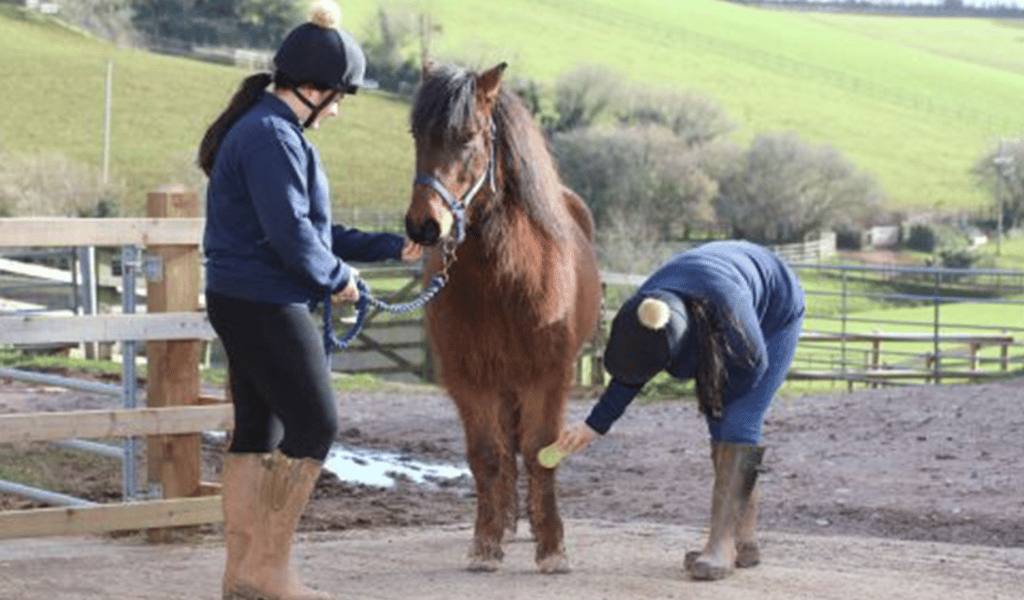 Mouse pony with two sanctuary workers