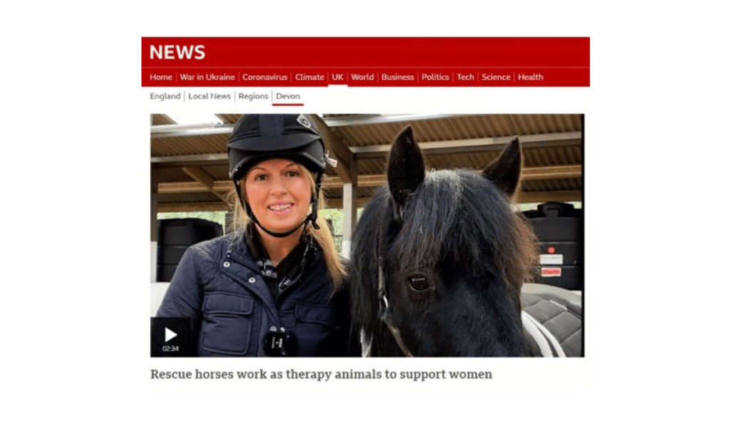 News story: rescue horses work as therapy animals to support women