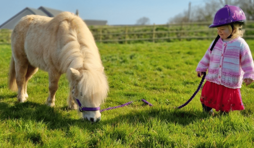 Child stood in a field with a pony