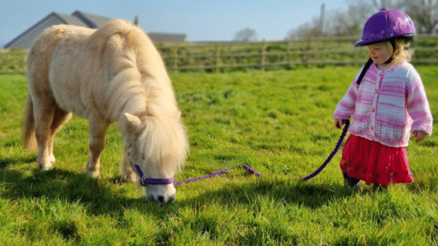 Child stood in a field with a pony