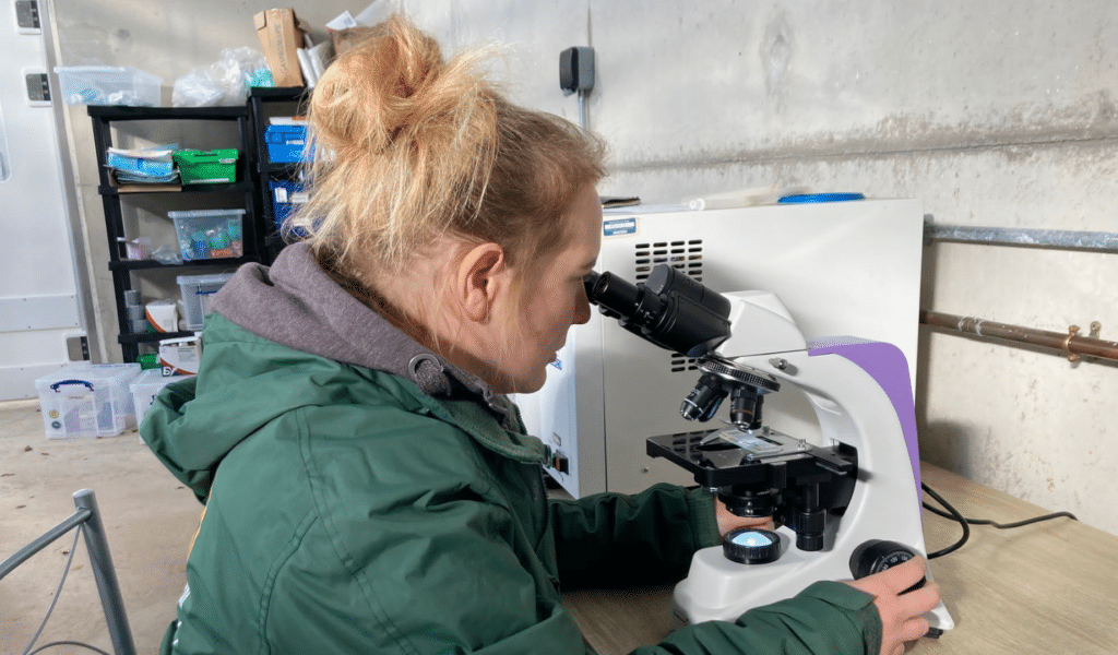 Staff member looking into microscope