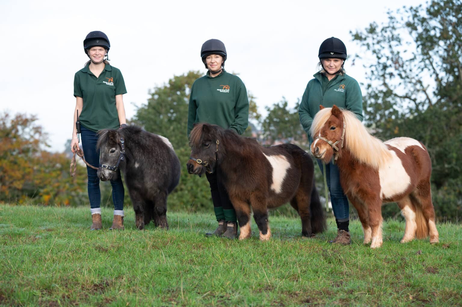 Three Ponies Neglected ponies’ lives transformed | The Mare and Foal Sanctuary
